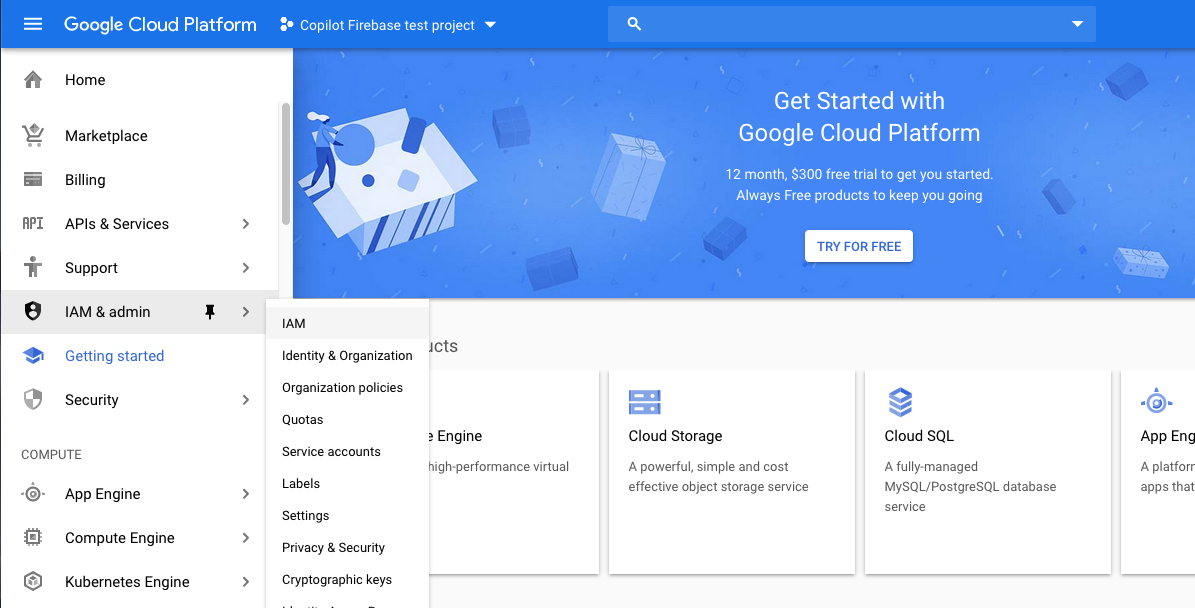 Google Cloud IAMs
